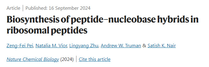 核糖體肽中肽-核堿基雜合物的生物合成
核糖體肽中肽-核堿基雜合物的生物合成