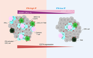 Cancer Cell:蛋白水平預(yù)測(cè)腸癌免疫治療反應(yīng) Cancer Cell:蛋白水平預(yù)測(cè)腸癌免疫治療反應(yīng)