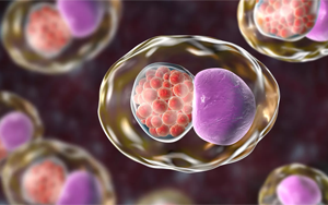 Cell:微生物組的變化預(yù)測(cè)性傳播疾病的風(fēng)險(xiǎn) Cell:微生物組的變化預(yù)測(cè)性傳播疾病的風(fēng)險(xiǎn)