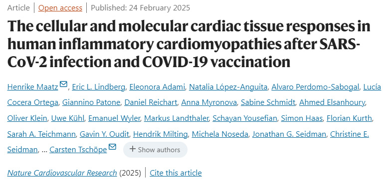 人類炎癥性心肌病在SARS-CoV-2感染和COVID-19疫苗接種后的細胞和分子心臟組織反應 人類炎癥性心肌病在SARS-CoV-2感染和COVID-19疫苗接種后的細胞和分子心臟組織反應