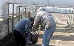 西寶“凈”界煥新 全員C位共筑辦公新生態(tài) 西寶“凈”界煥新 全員C位共筑辦公新生態(tài)