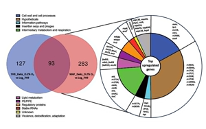 PNAS：萬(wàn)萬(wàn)沒(méi)想到，結(jié)核桿菌自己提供促進(jìn)空氣傳播的基因