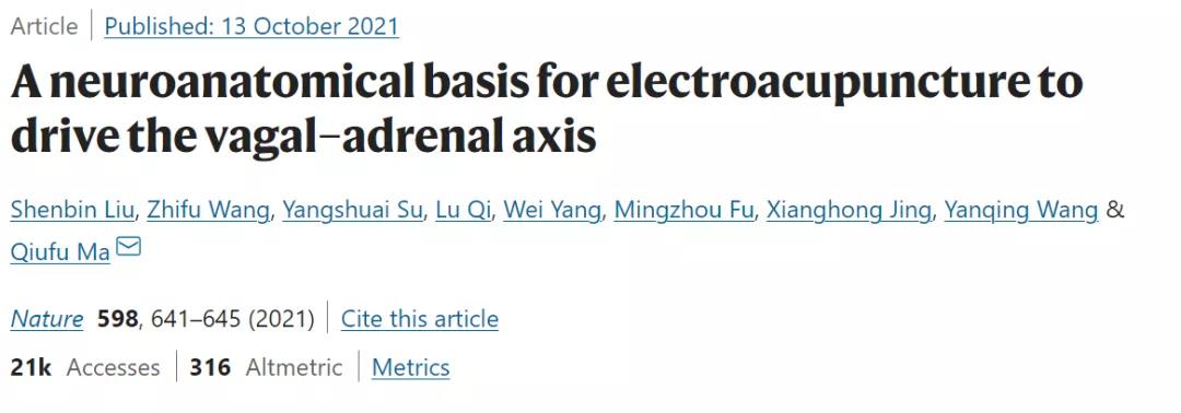 Nature:針灸不再是“玄學”!中美科學家證明針灸的神經解剖學原理 Nature:針灸不再是“玄學”!中美科學家證明針灸的神經解剖學原理