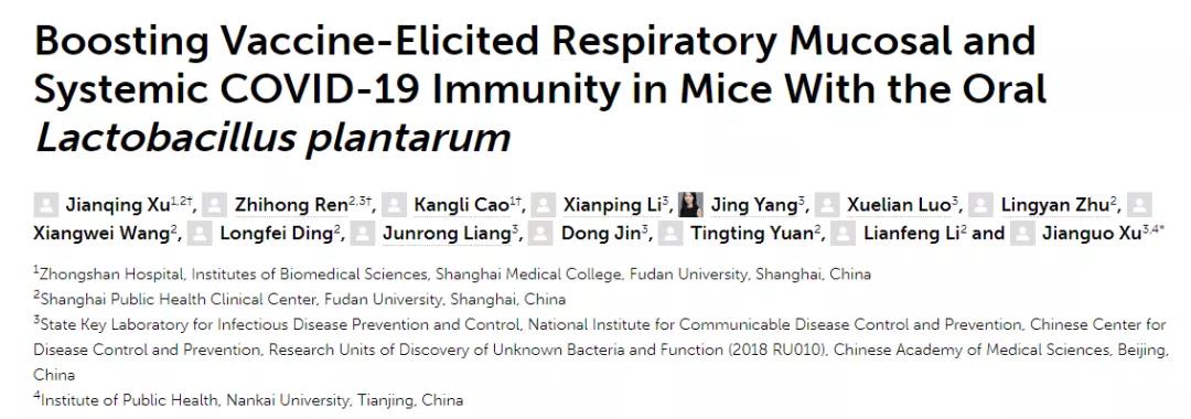 抗擊新冠病毒又一助力!這種益生菌竟可顯著增強新冠疫苗效果 抗擊新冠病毒又一助力!這種益生菌竟可顯著增強新冠疫苗效果
