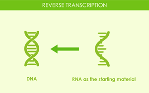Seebio(R) Reverse Transcriptase逆轉錄酶 Seebio(R) Reverse Transcriptase逆轉錄酶