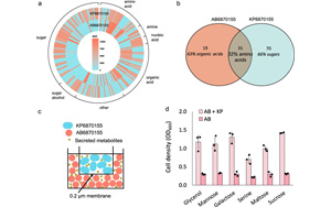 Nature子刊：最致命和耐藥的病原體協作，變得更具傳染性