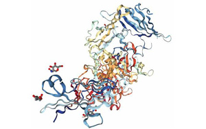 解碼微生物腸道信號的研究為IBD提供了潛在的新治療方法 解碼微生物腸道信號的研究為IBD提供了潛在的新治療方法