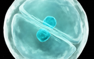 eLife：細胞真是“成精了”，它能模仿人類交流方式，一旦“關系”破裂，癌癥和糖尿病都找上門
