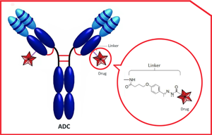 ADC Linker之單分散氨基PEG Linker系列 ADC Linker之單分散氨基PEG Linker系列