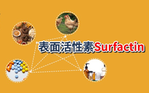 【脂肽類表面活性劑】表面活性素(Surfactin, CAS:24730-31-2) 【脂肽類表面活性劑】表面活性素(Surfactin, CAS:24730-31-2)