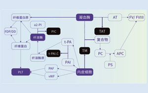 血栓調節蛋白（TM）-磁微?；瘜W發光法（AE/AP）解決方案
