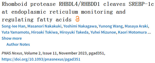 SREBP-1c裂解酶是脂肪酸生物合成的關鍵角色 SREBP-1c裂解酶是脂肪酸生物合成的關鍵角色