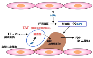  纖溶酶-α2纖溶酶抑制物復合物（PIC）-磁微?；瘜W發光法 （吖啶酯）解決方案