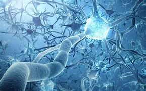 Science:當神經(jīng)元向一個方向流動 Science:當神經(jīng)元向一個方向流動