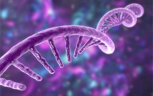 《Nature》新技術(shù)捕獲了短壽命RNA，從而揭示了細(xì)胞中基因轉(zhuǎn)錄的隱秘協(xié)調(diào)方式