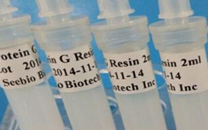 西寶生物 rProtein G SeePUR重組蛋白G親和層析預裝柱/填料系列產品-用于抗體純化！