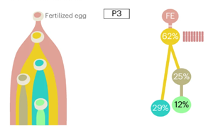 Nature Biotechnology:精確測量癌癥的進化,定義分析腫瘤基因組成的最佳算法 Nature Biotechnology:精確測量癌癥的進化,定義分析腫瘤基因組成的最佳算法