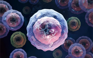 Nature Immunology:一種特殊類型的人類白細(xì)胞 Nature Immunology:一種特殊類型的人類白細(xì)胞