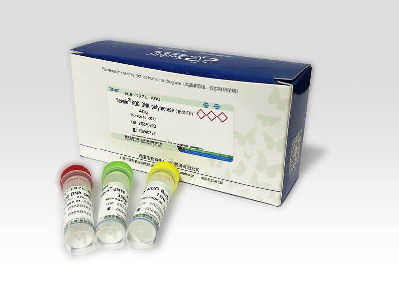 Seebio? KOD DNA Polymerase（含dNTP）