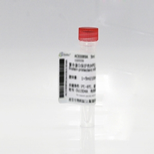 GFP 標簽抗體, 兔單抗
